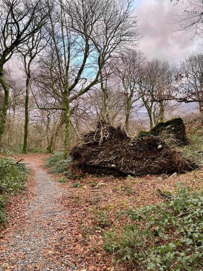 Snowdonia Holidays Caravan Hire - Aberdunant Park - 111 Silver Birch Porthmadog Esterno foto